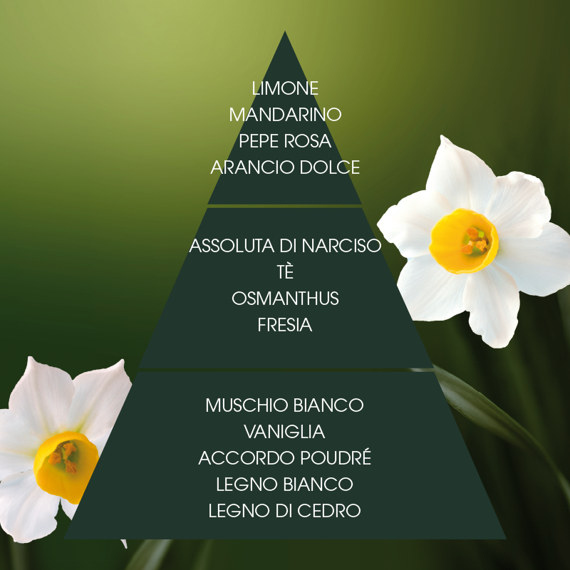 L'amande Deo spray Narciso supremo Qualità Garantita