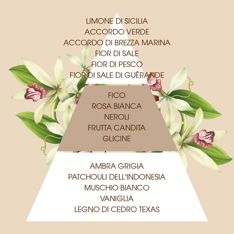 L'amande Crema corpo Fleur de Sel & Vanille Outlet