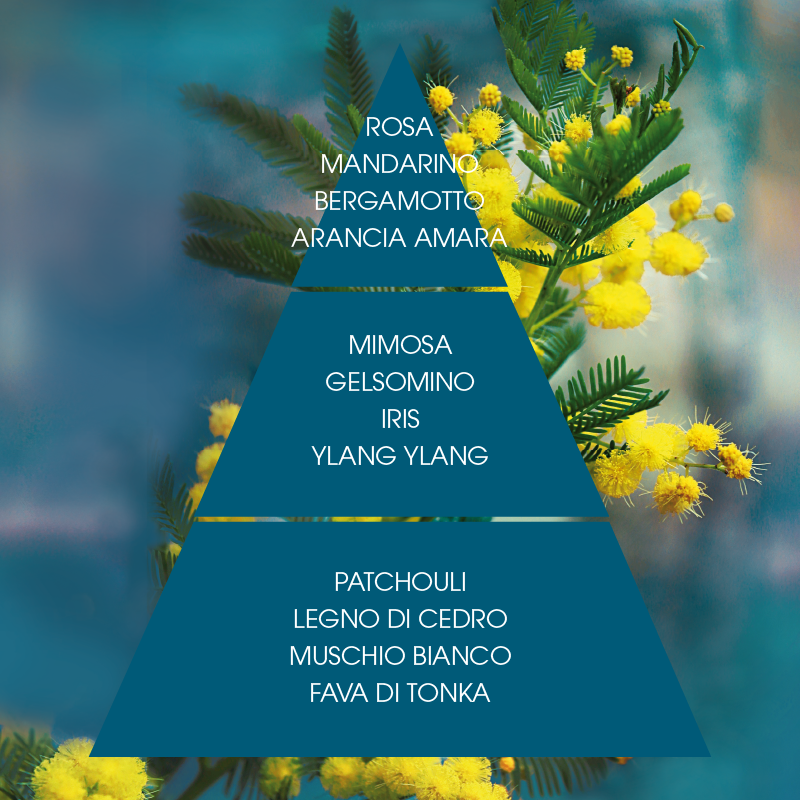 L'amande Crema corpo Mimosa suprema 2025