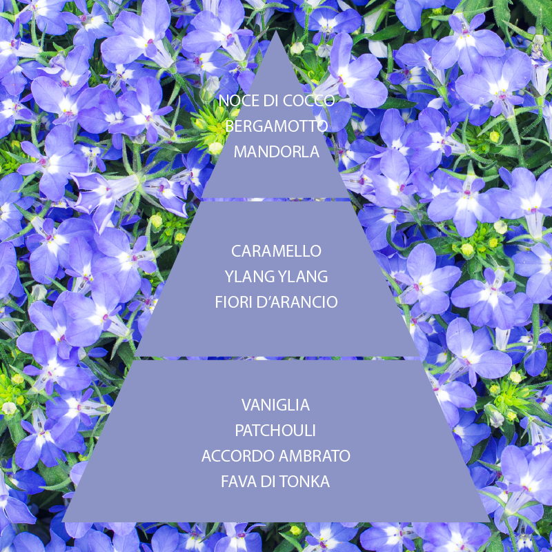 L'amande Crema corpo Fiori di Zaffiro Soddisfazione Garantita