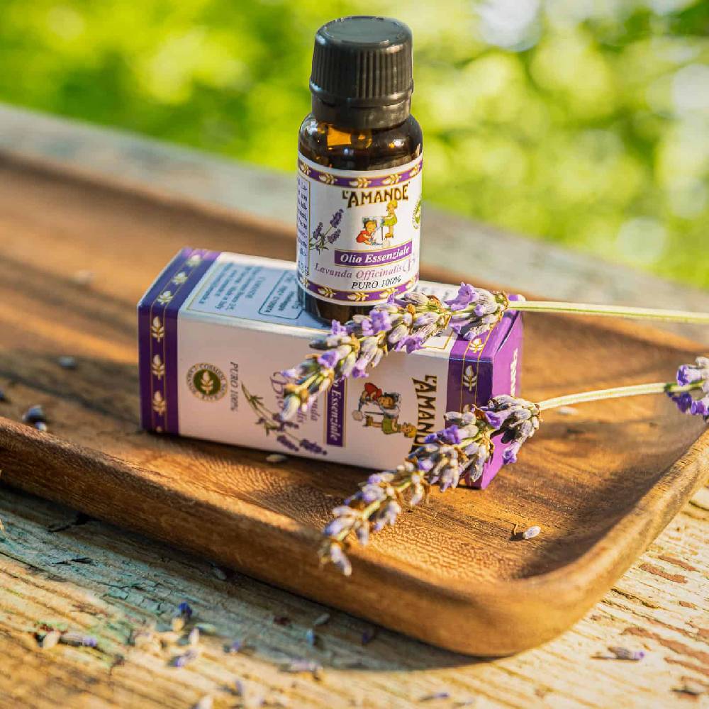 L'amande Olio essenziale Lavanda officinalis del Piemonte bio Italy