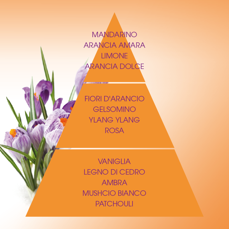 L'amande Sapone profumato Armonie Offerta