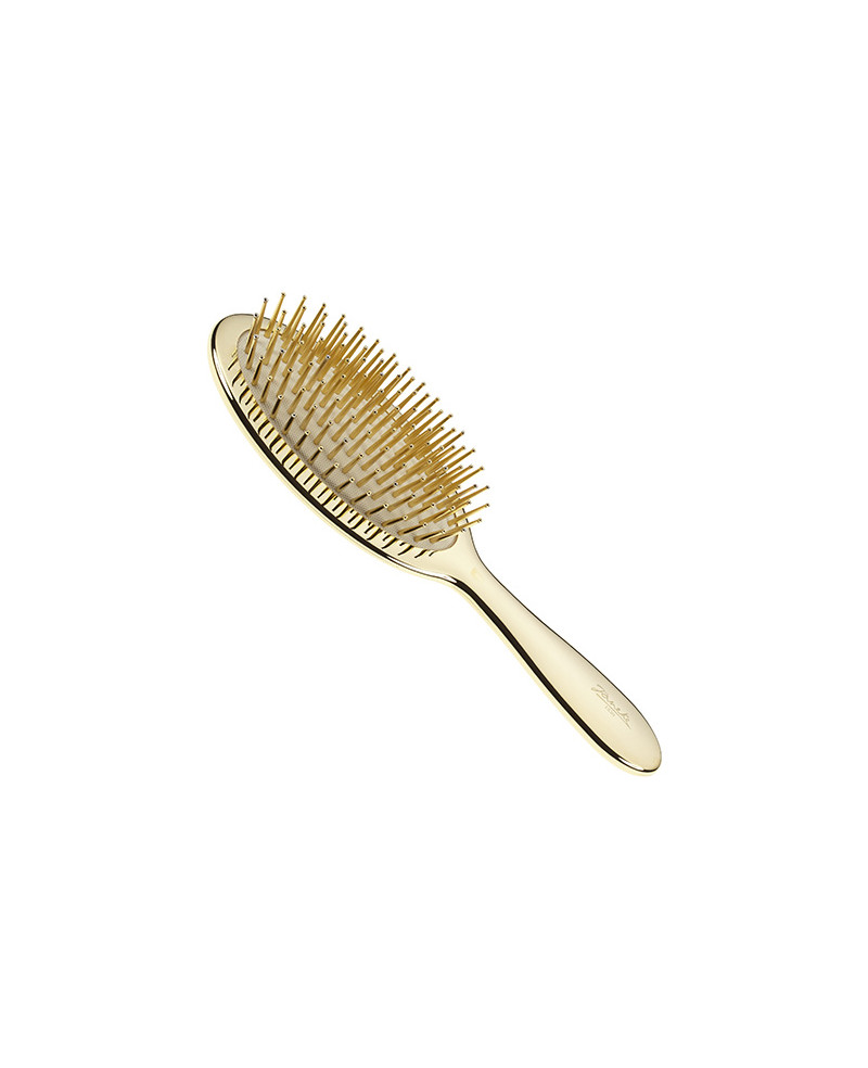 Janeke Spazzola dorata pneumatica con picchi dorati -  cod. AUSP22 G