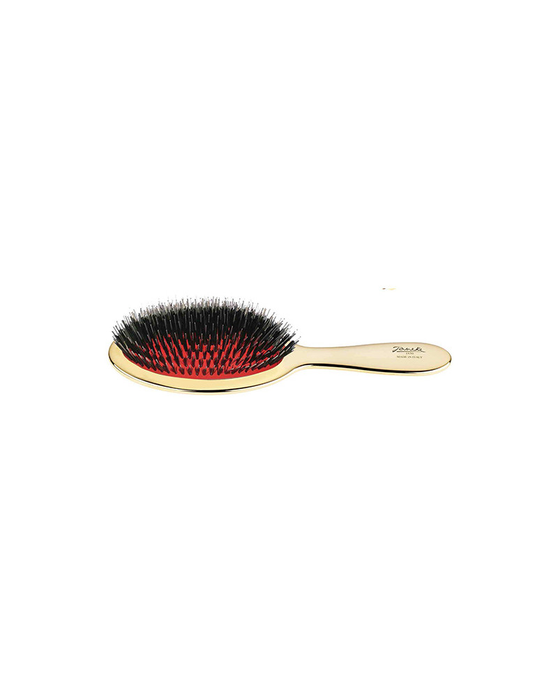 Janeke Spazzola dorata con setole e rinforzo nylon - cod. AUSP22M Promozione Limitata