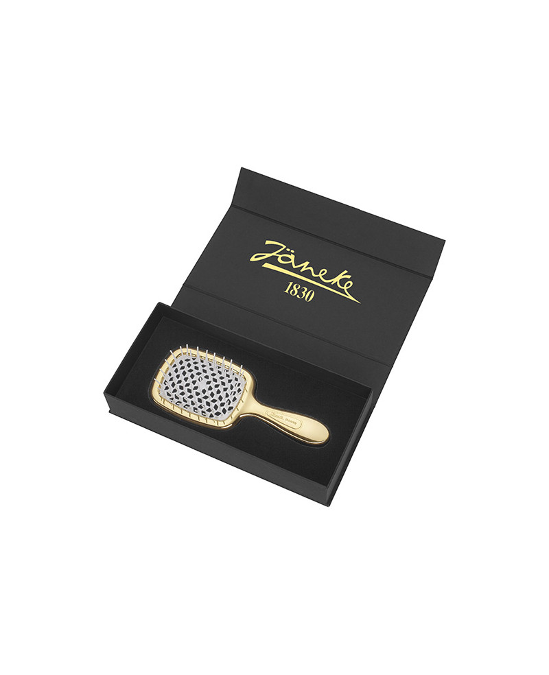 Janeke Scatola Regalo con Spazzola Superbrush oro - Cod. SCA21