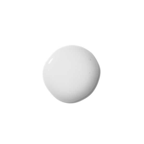 The Ordinary The Ordinary Niacinamide 5% Face and Body Emulsion 100ml Presa