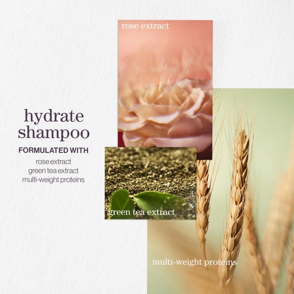 Pureology Pureology Hydrate Shampoo 266ml Economico