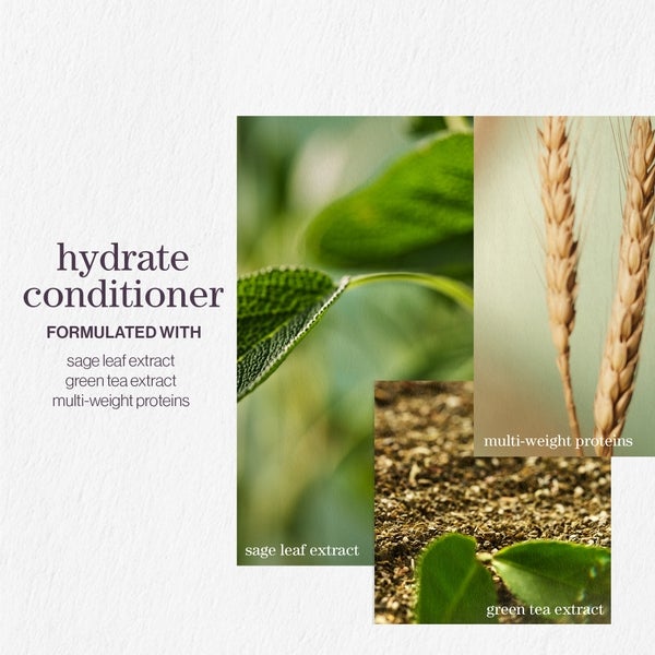 Pureology Pureology Hydrate Shampoo and Conditioner Moisturising Bundle for Dry Hair Sulphate Free for a Gentle Cleanse Novità