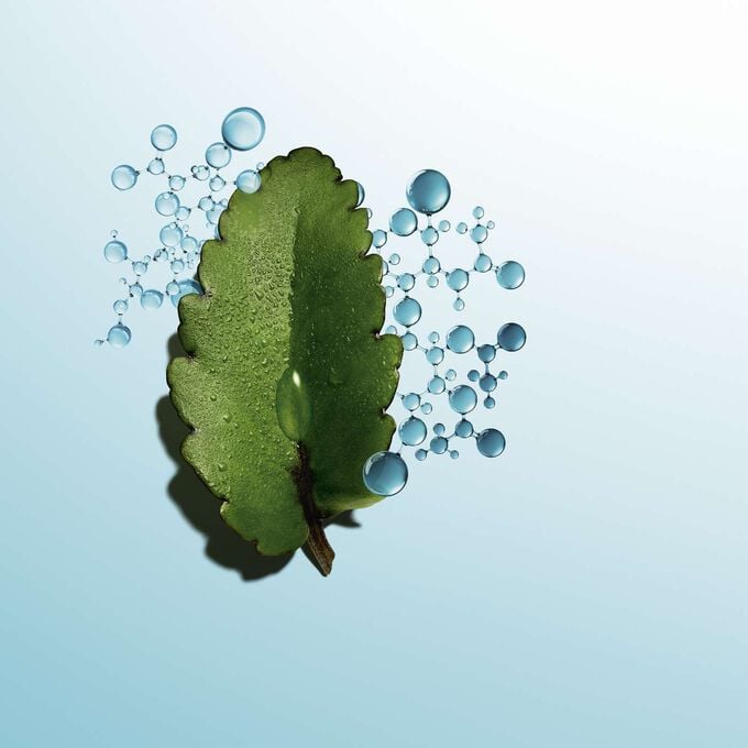 Clarins Hydra-Essentiel [HA²] Siero Bifase Idratante Vendita