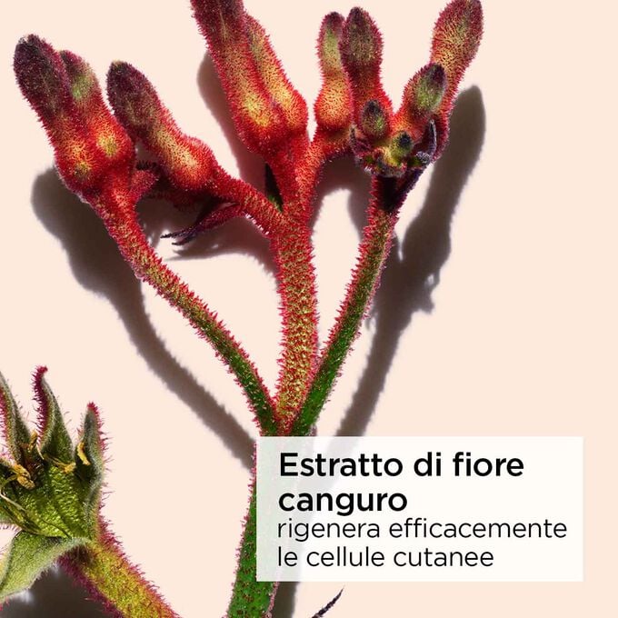 Clarins Extra-Firming Crema Antirughe Tutti i tipi di pelle Prezzo Ridotto