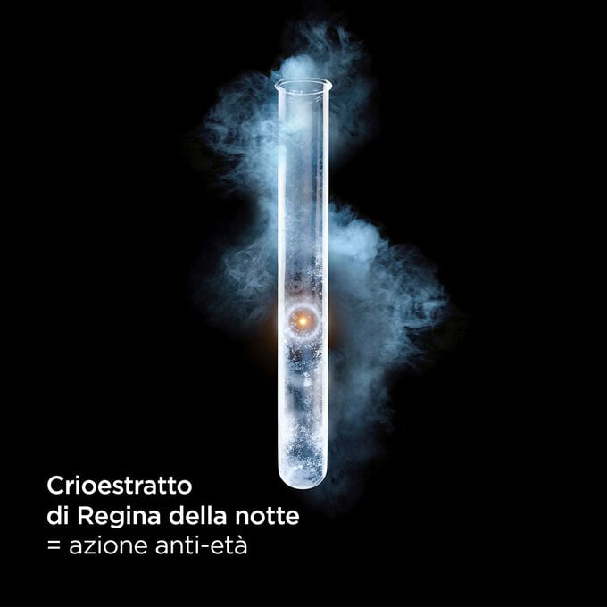 Clarins La Crème Riche Offerte