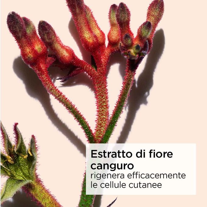 Clarins Extra-Firming Crema Antirughe Notte Speciale Pelle Secca Negozio
