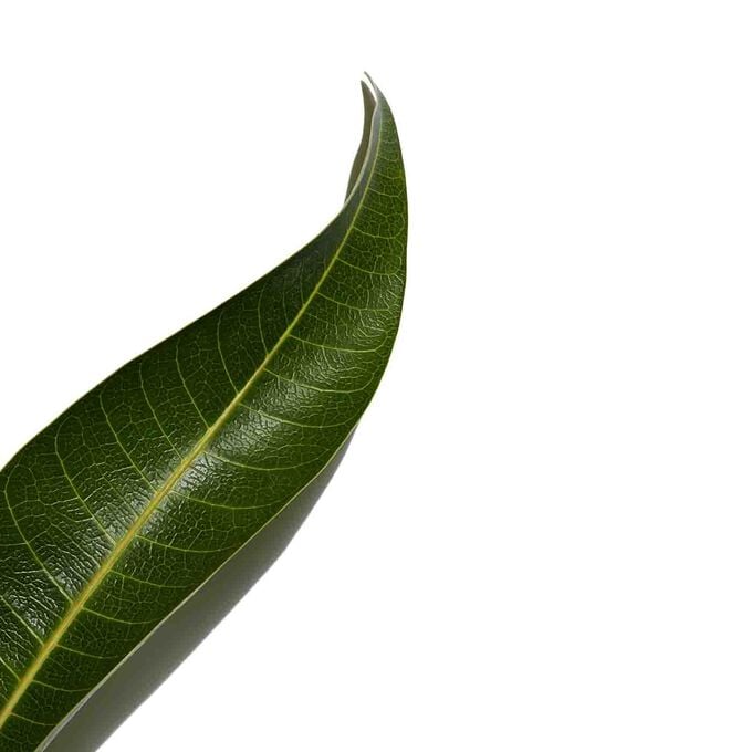 Clarins UV PLUS Antinquinamento Trasparente Outlet