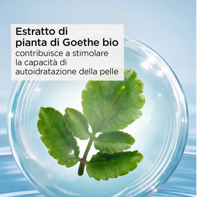 Clarins Total Eye Hydrate Negozi Online