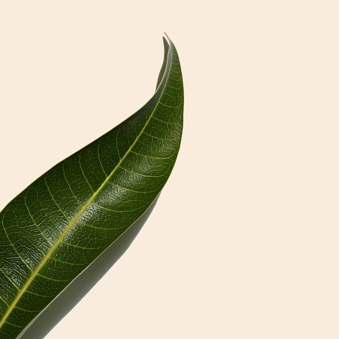 Clarins UV Plus SPF50 texture beige Online
