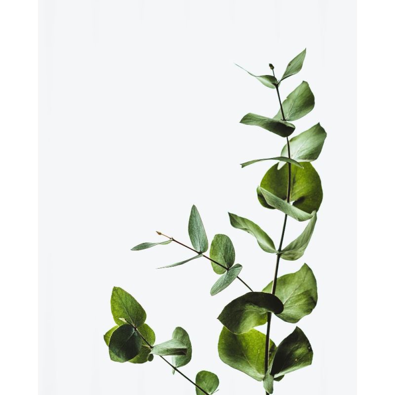 Acca Kappa BURRO CORPO AROMATICO Vendite Flash