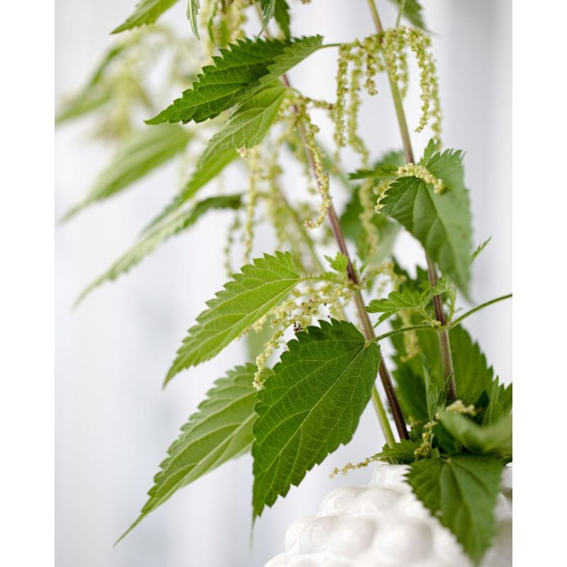 Acca Kappa CREMA MANI AROMATICA Promozione